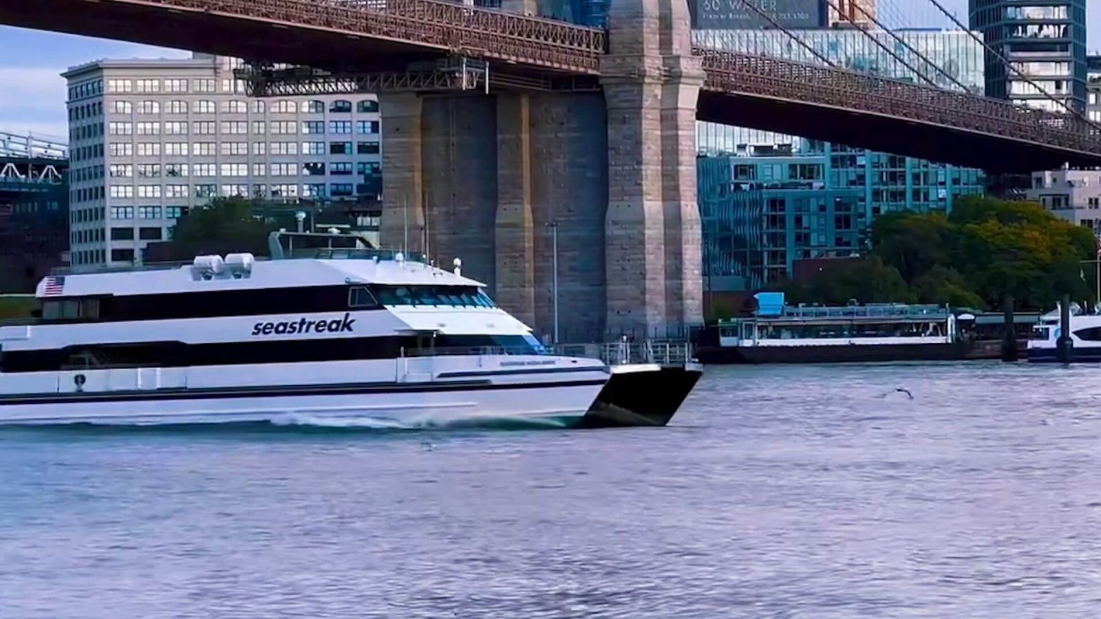 Seastreak Ferries  Santa Brunch Cruise in NYC Harbor (Departing Highlands,  NJ)