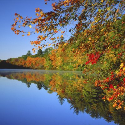 Seastreak Fall Foliage Cruise